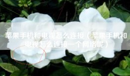 苹果手机和电视怎么连接（苹果手机和电视怎么连接一个网络呢）