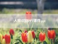 人脸识别PPT课件.ppt