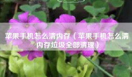 苹果手机怎么清内存（苹果手机怎么清内存垃圾全部清理）