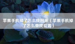 苹果手机掉了怎么找回来（苹果手机掉了怎么查找位置）