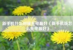 新手机什么时候充电最好（新手机该怎么充电最好）