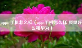 oppo 手机怎么样（oppo手机怎么样 质量好么和华为）