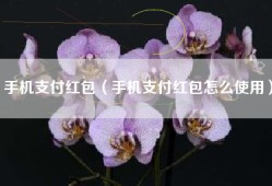 手机支付红包（手机支付红包怎么使用）