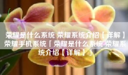 荣耀是什么系统 荣耀系统介绍【详解】荣耀手机系统「荣耀是什么系统 荣耀系统介绍【详解】」