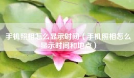 手机照相怎么显示时间（手机照相怎么显示时间和地点）