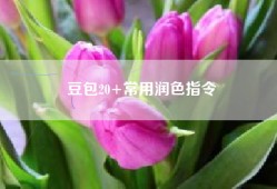 豆包20+常用润色指令