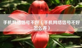 手机网络信号不好（手机网络信号不好怎么弄）