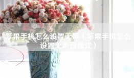 苹果手机怎么设置无声（苹果手机怎么设置无声音模式）