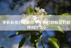 手机标签打印软件（手机打印标签的软件叫什么）