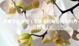 苹果手机解密（苹果手机解密码锁的方法图解）