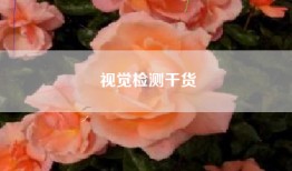 视觉检测干货