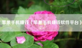 苹果手机赚钱（苹果手机赚钱软件平台）