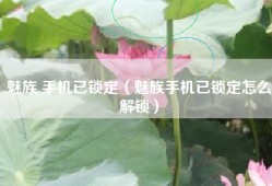 魅族 手机已锁定（魅族手机已锁定怎么解锁）