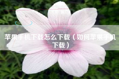 苹果手机下载怎么下载（如何苹果手机下载）