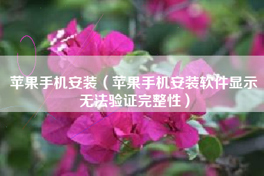 苹果手机安装（苹果手机安装软件显示无法验证完整性）