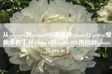 从iphone6到xiaomi9SE再回到iphone13 pro m爱疯手机「从iphone6到xiaomi9SE再回到iphone13 pro m」
