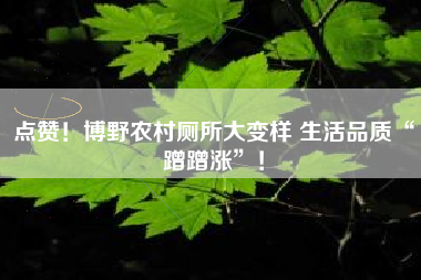 点赞！博野农村厕所大变样 生活品质“蹭蹭涨”！
